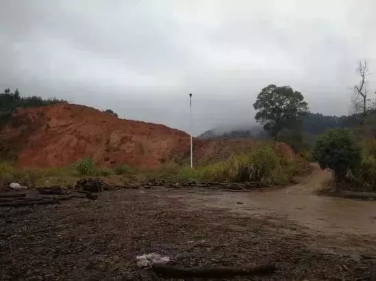 14141414.jpg 14141414.jpg