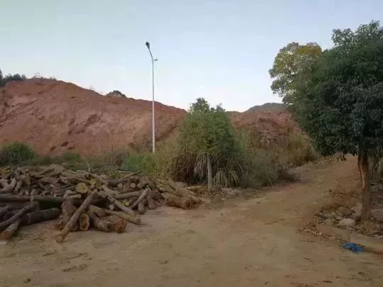 13131313.jpg 13131313.jpg